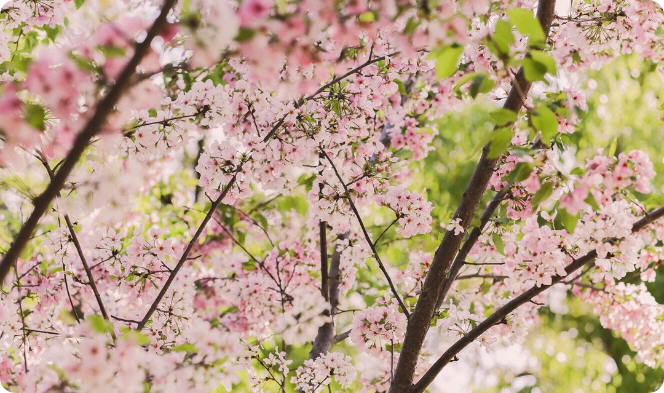 나는 너에게 thumbnail