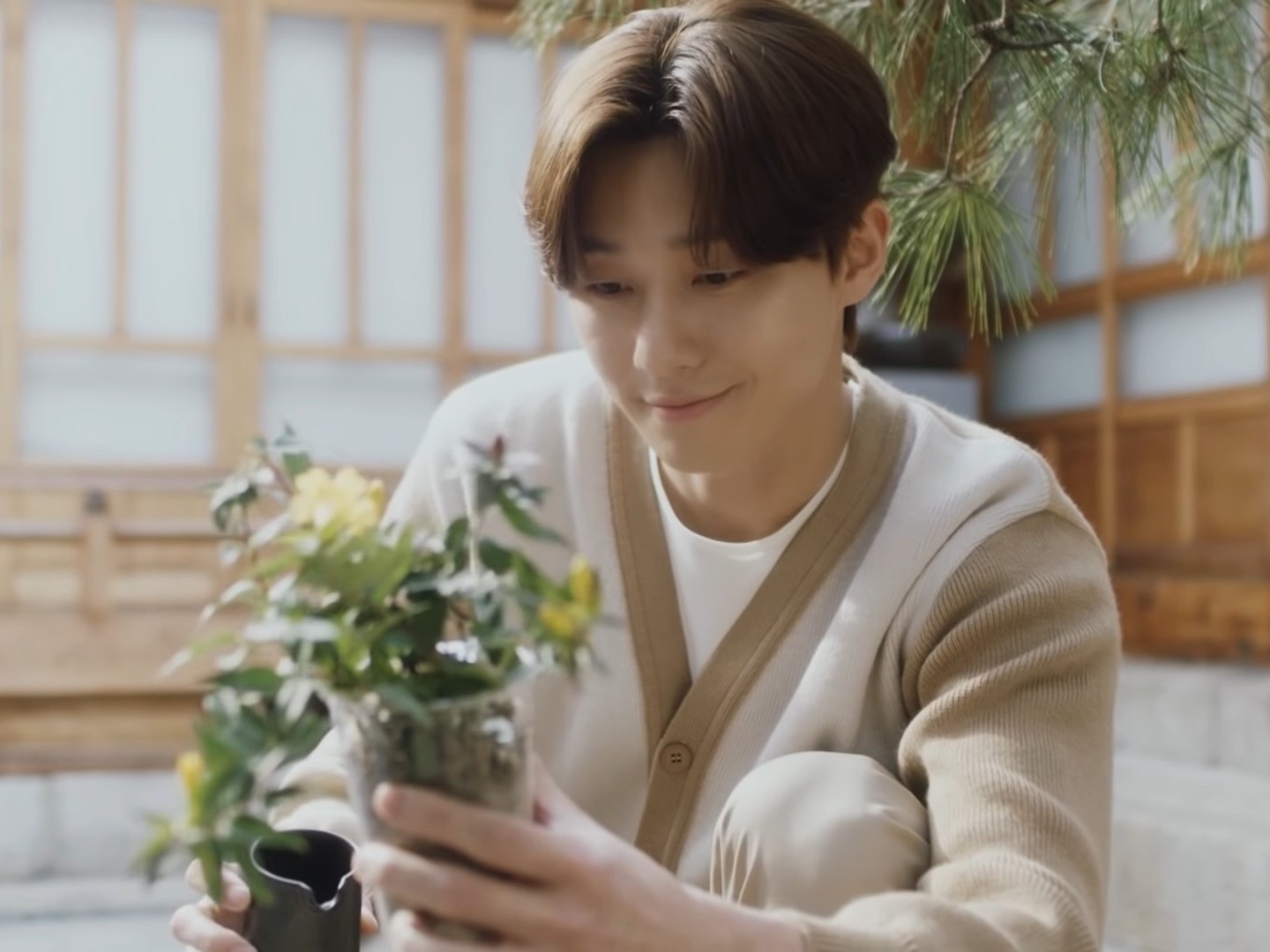 박서준/의사 image