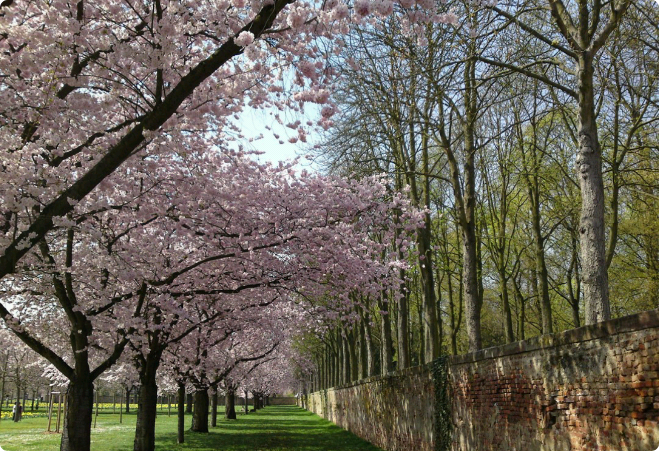 니가 나한테 어떤 존재냐면.. thumbnail