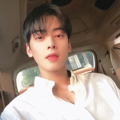 차은우 (18살) image