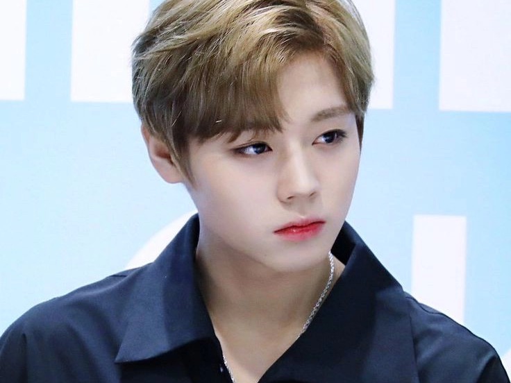박지훈 image