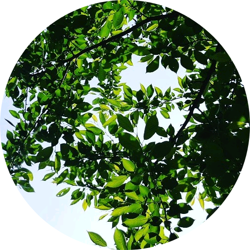 《°작가°》 image