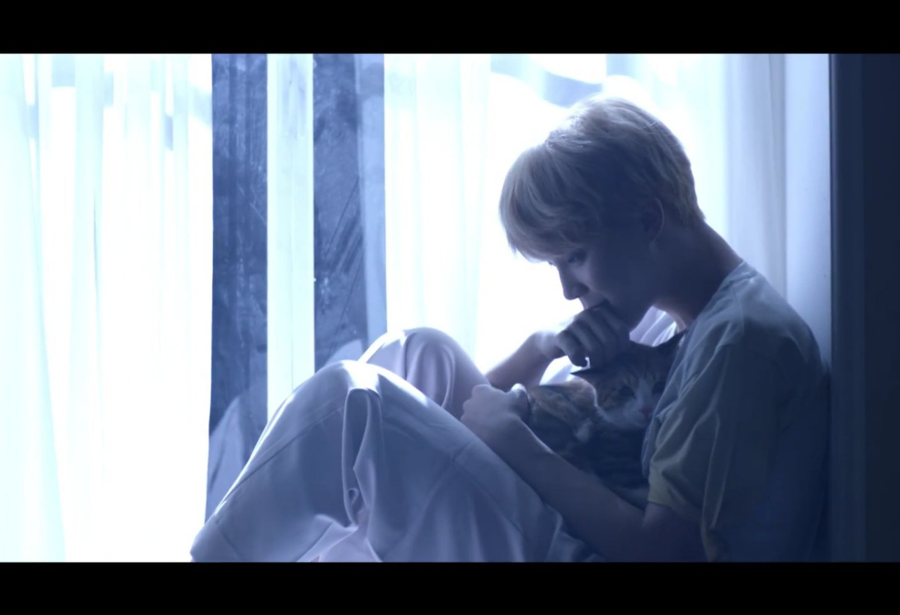 넌 나의 삼색 고양이 thumbnail