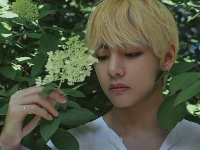 난 방탄 뷔의 친동생 입니다. thumbnail