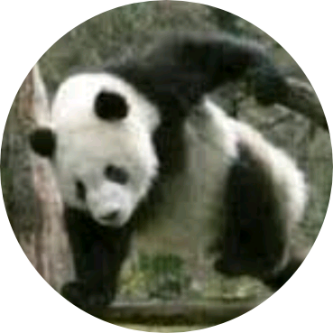 글 쓰는 사람(?) image