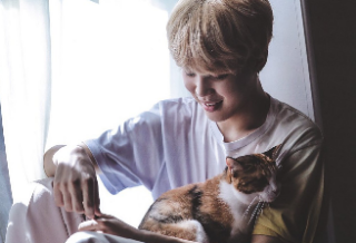 私はあなたの三色猫I'M YOUR CALICO CAT thumbnail