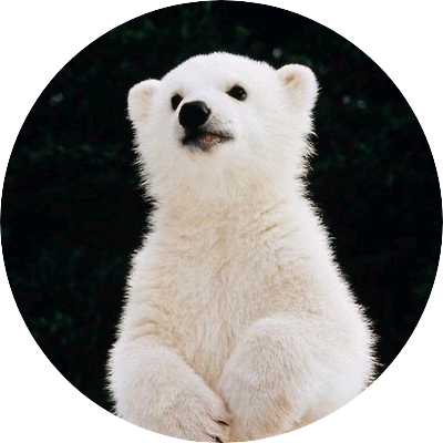 북극곰(민혁)
 image