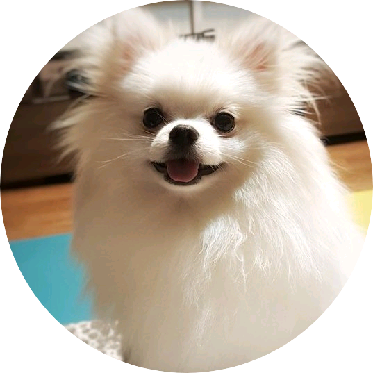 강아지(프니엘) image