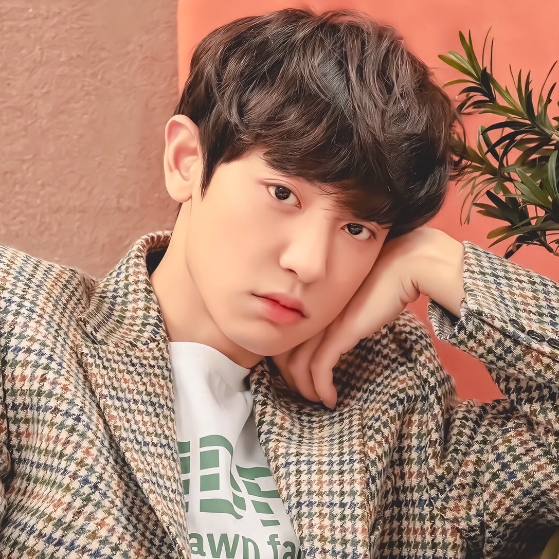 박찬열  image