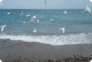 나에 희망 thumbnail