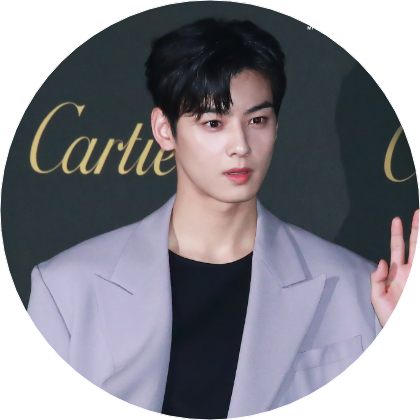 차은우 image