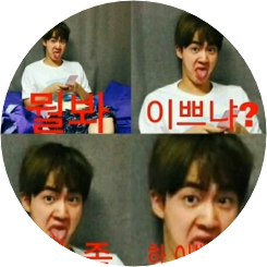 보라파카 image