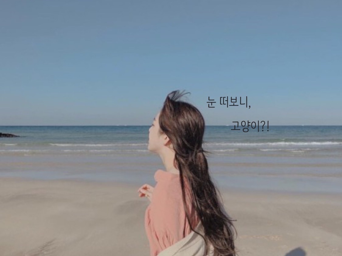 当我睁开眼睛时，看到一只猫。 thumbnail