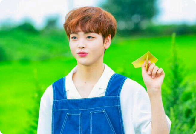 선배님-누나 thumbnail