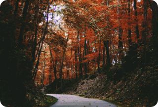 第三次的魅力~☆ thumbnail