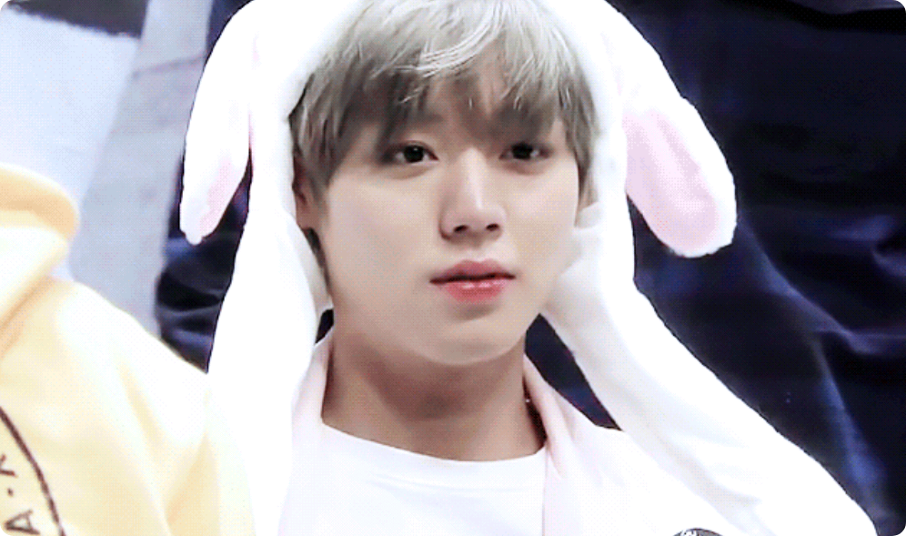 어서와~ 꼬맹아 thumbnail