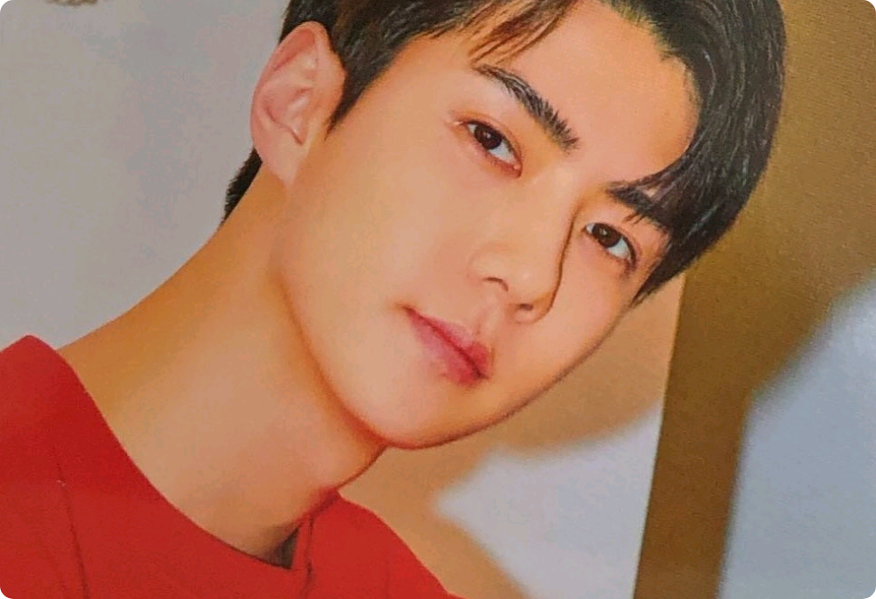 I became the housekeeper of an unmarried gang boss. thumbnail