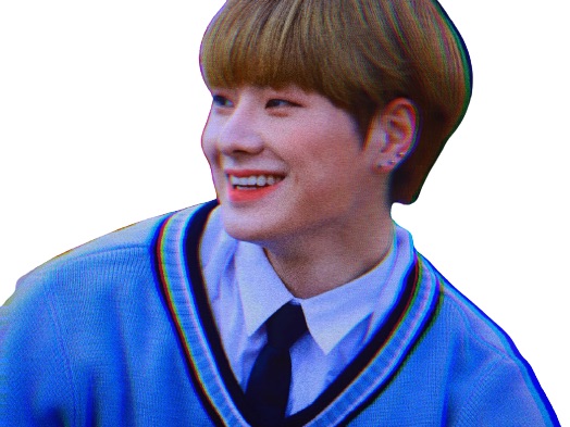 She was a hydrangea in a single flower thumbnail