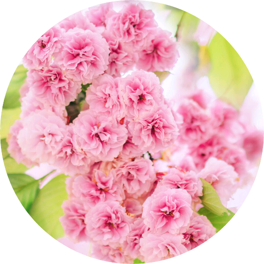 작가 image
