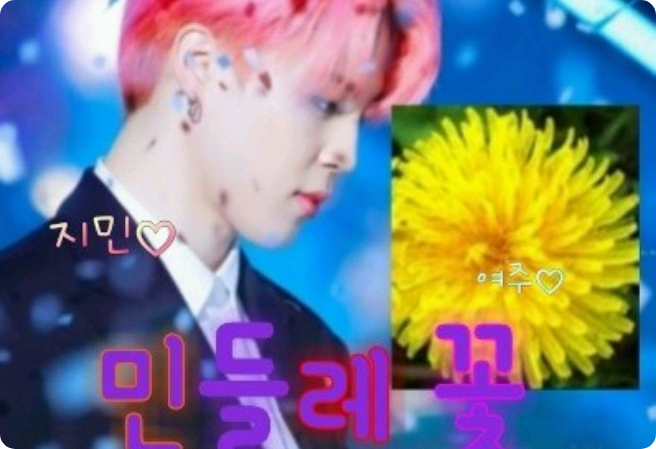 민들레 꽃 thumbnail