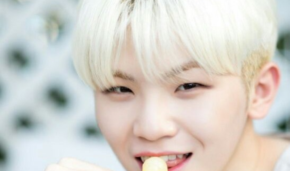 如果Woozi真的是我的哥哥呢？ thumbnail