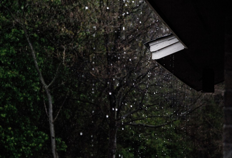 여름비가 내렸던 날, thumbnail