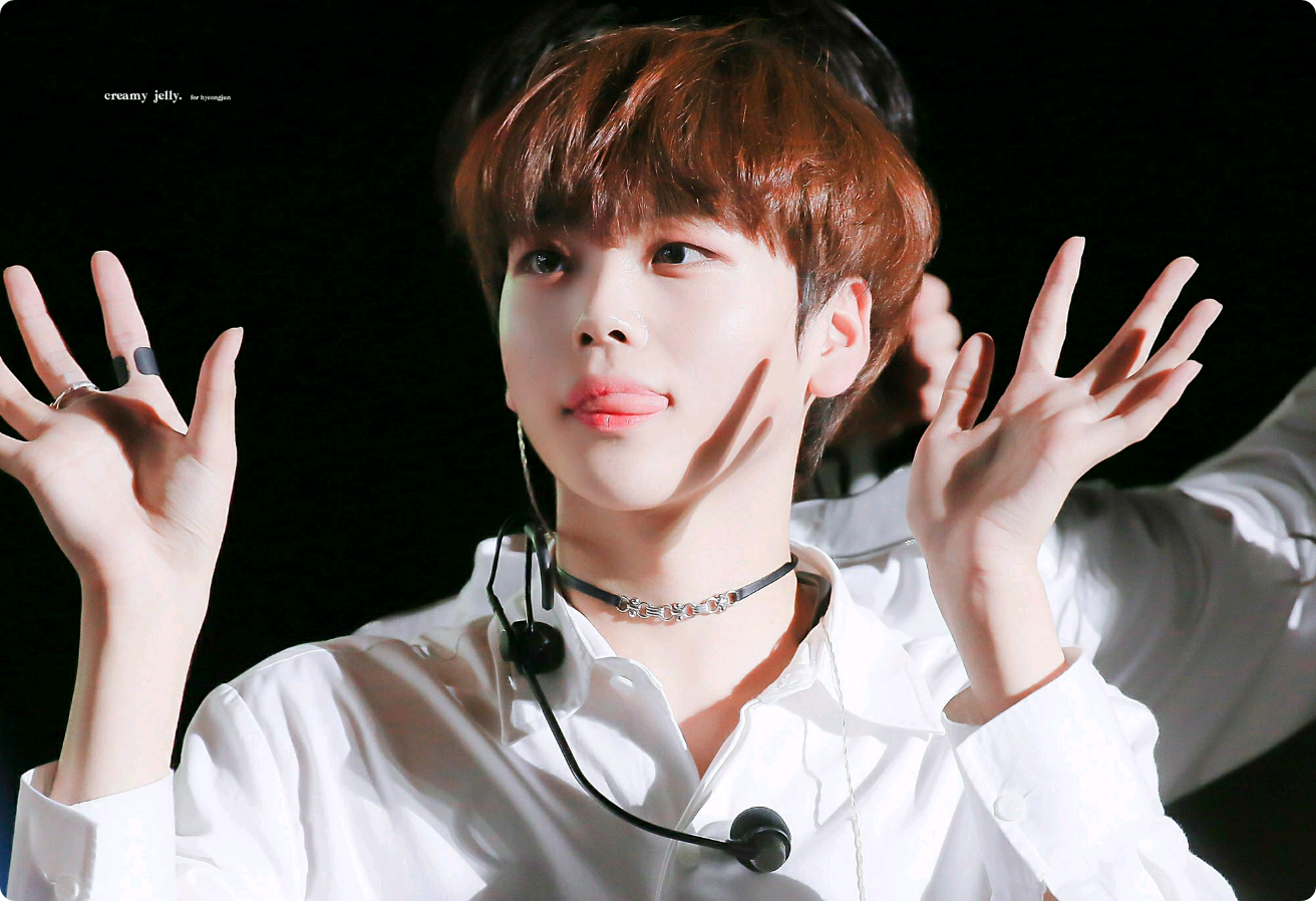 초코푸들을 키워라?! thumbnail