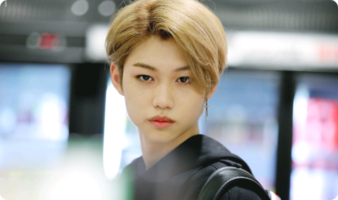 Compañero australiano thumbnail