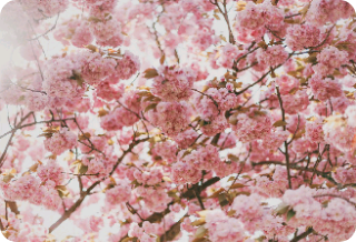 私たちの間はクォンテギです thumbnail