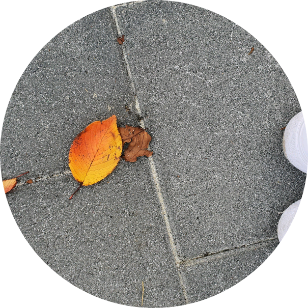 뭐다냐 작가 image