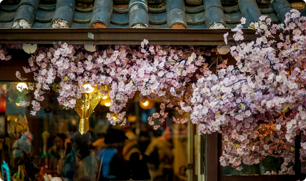 그대를 위해 thumbnail