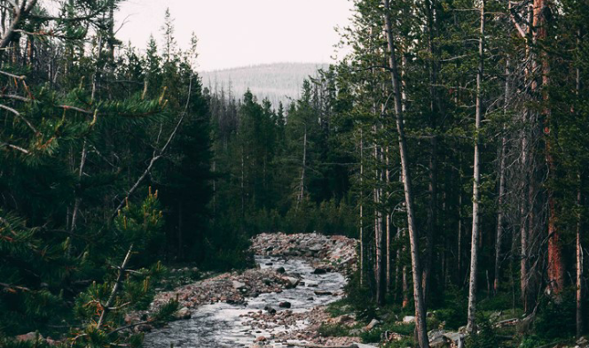 あなたは誰ですか thumbnail