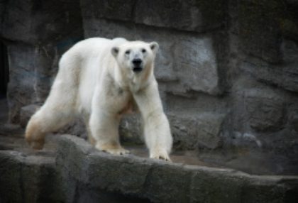 私のお父さん thumbnail