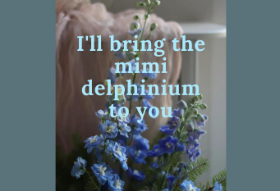 Aku akan mencarikanmu delphinium mini. thumbnail