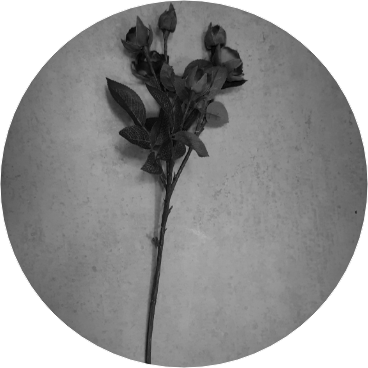 이은아(작가) image