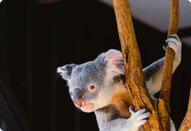 이렇게 또 설레네.  thumbnail