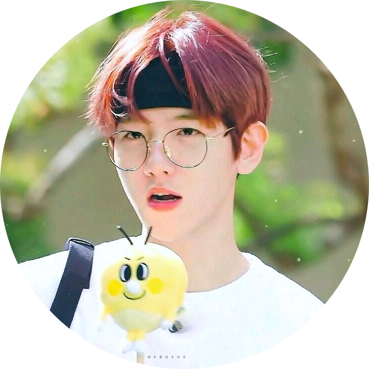 변백현 image