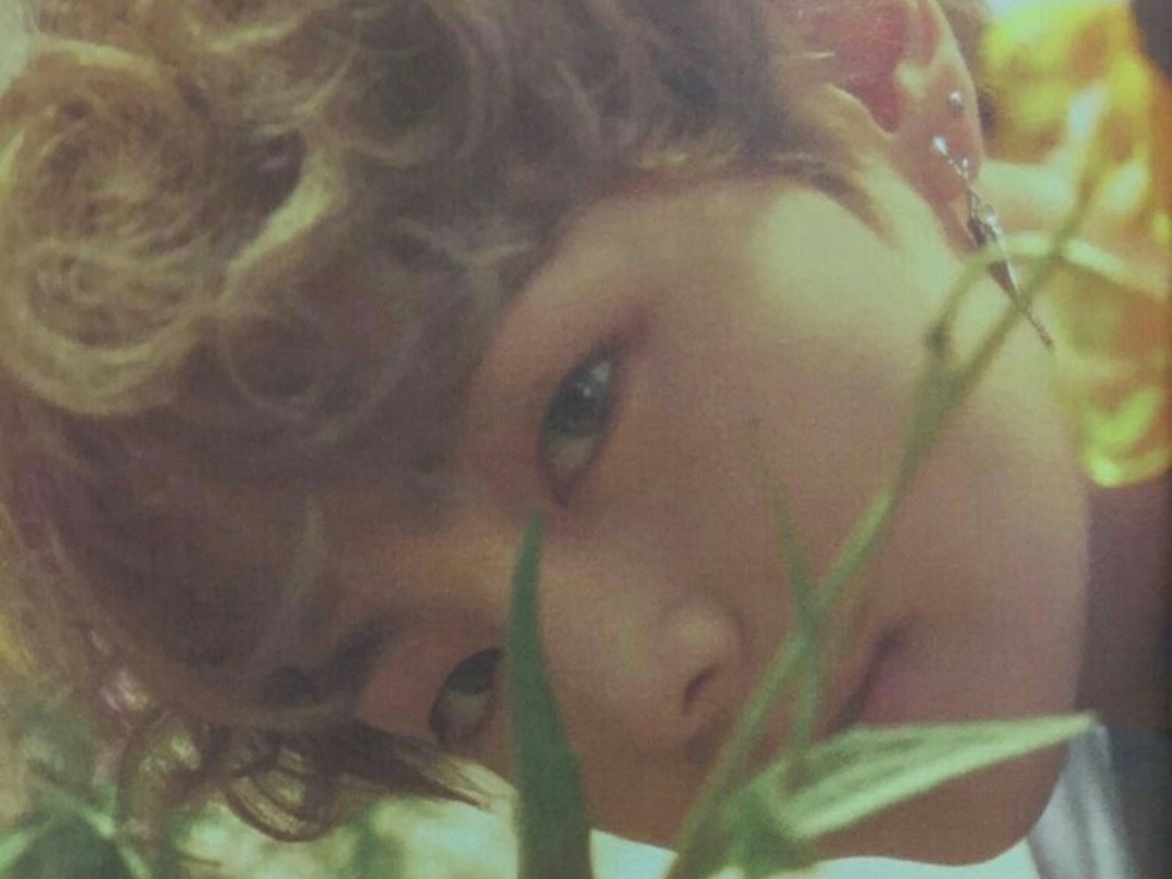 타인의 삶  thumbnail