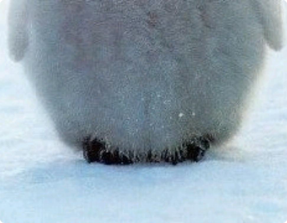 一系列十七歲少女的故事/同人小說，充滿了作者的個人想法。 thumbnail