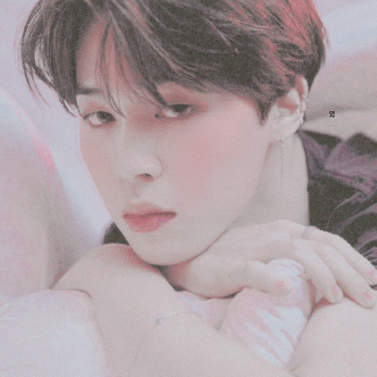 박지민 image