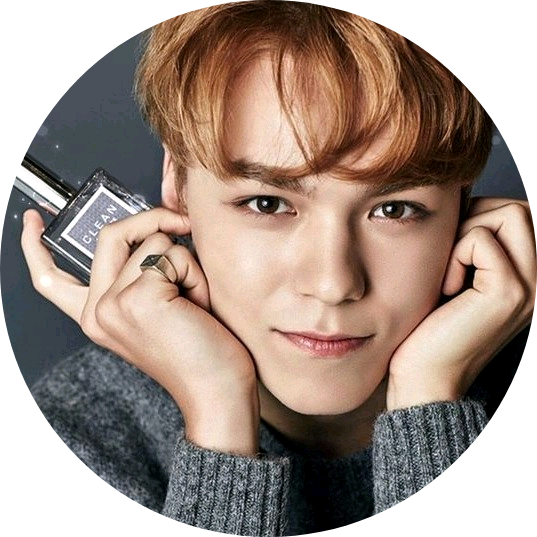 최한솔(버논) image