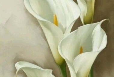 Me encantó tu vida pasada thumbnail