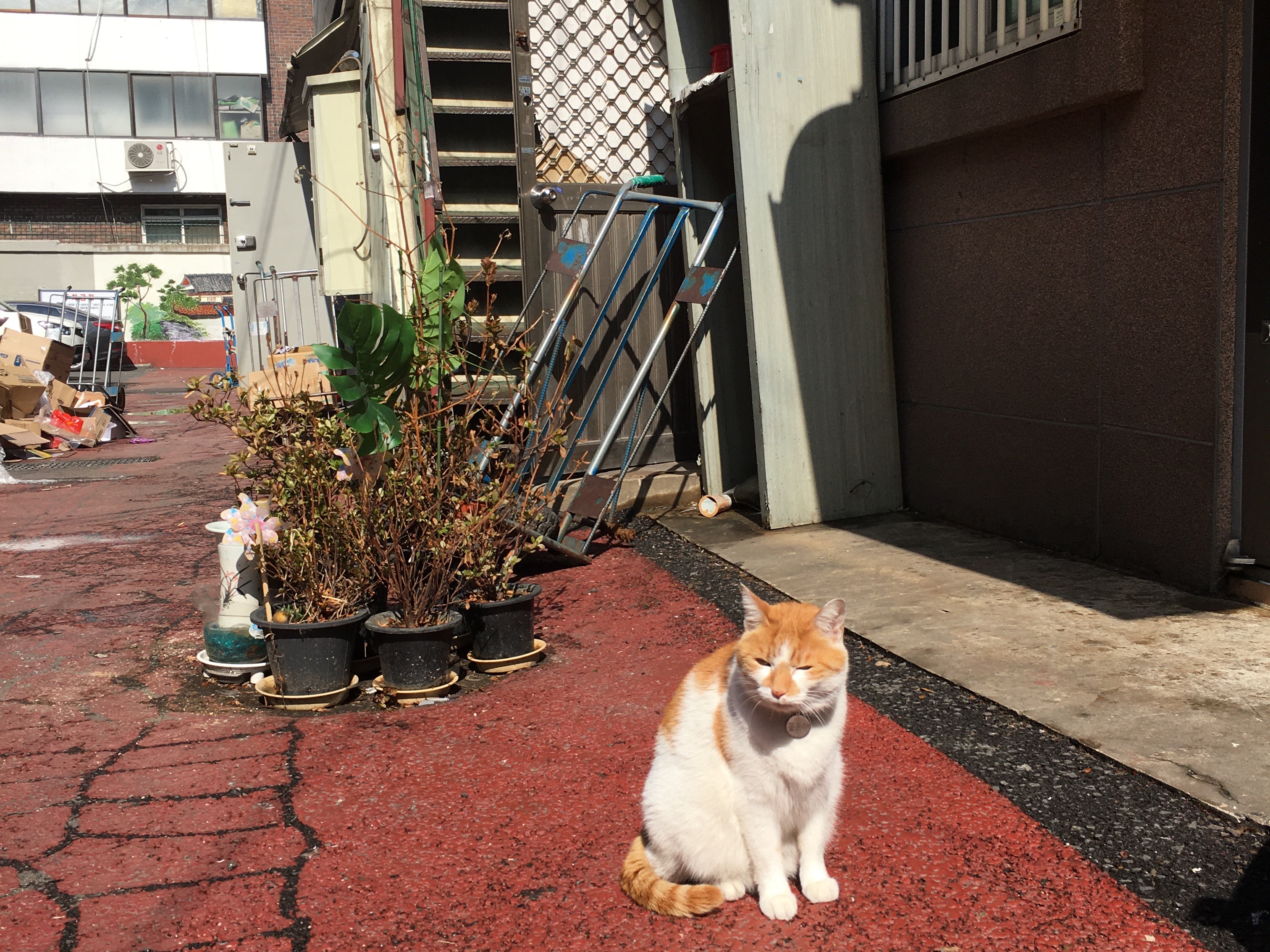 离这很远 thumbnail