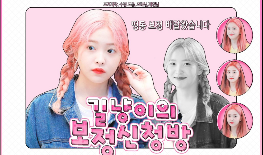 길냥이의 보정 신청방 thumbnail