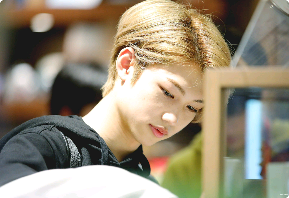 고기 파이 thumbnail