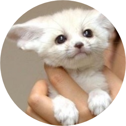 육성재(사막여우) image