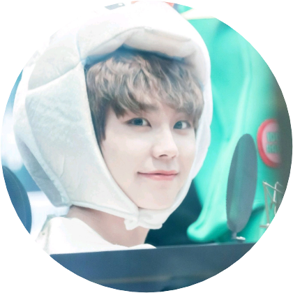 정일훈(고양이) image