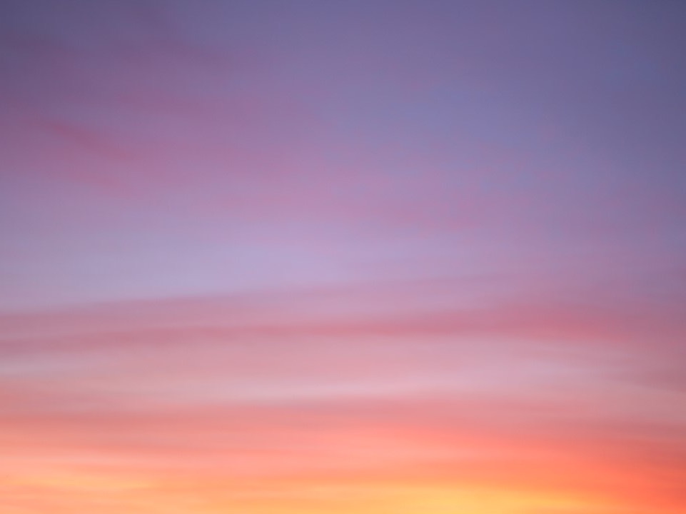 Phòng trò chuyện của Wooya thumbnail