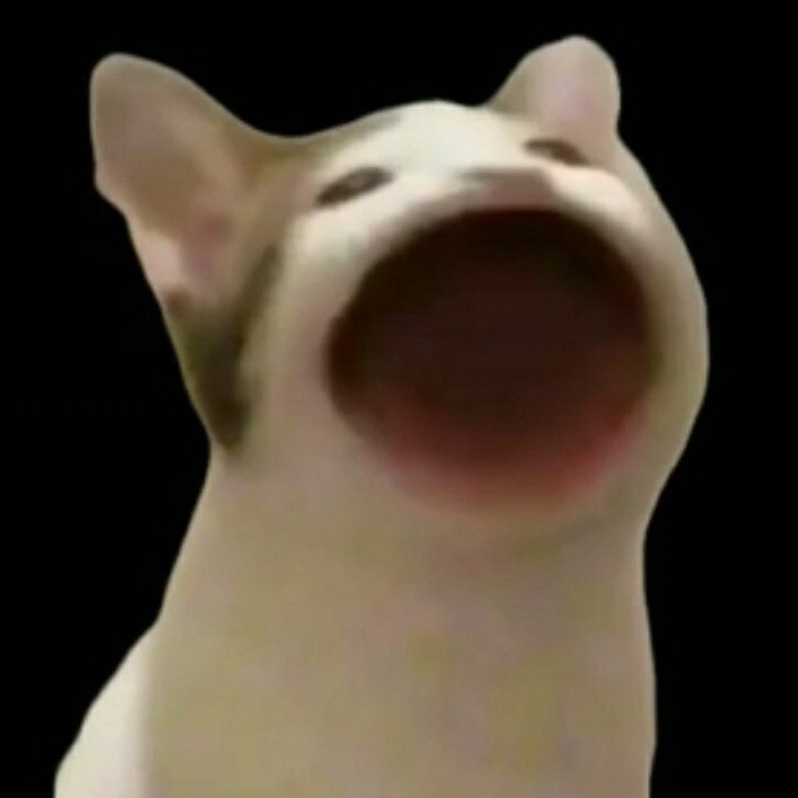 입큰 고앵이 image