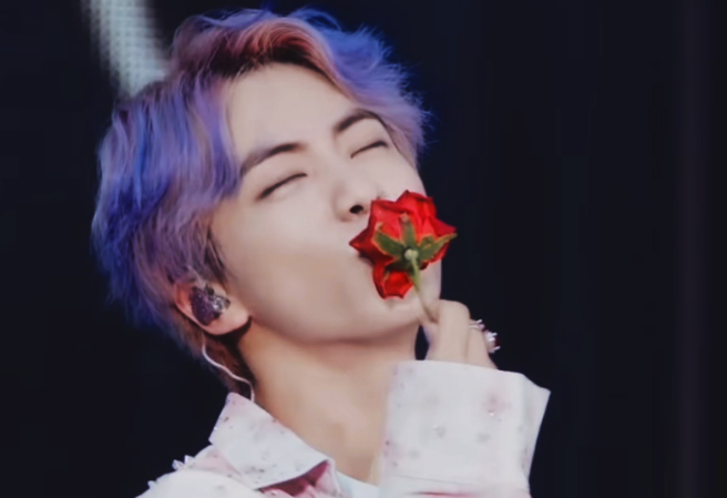 햄스터와 원숭이 thumbnail